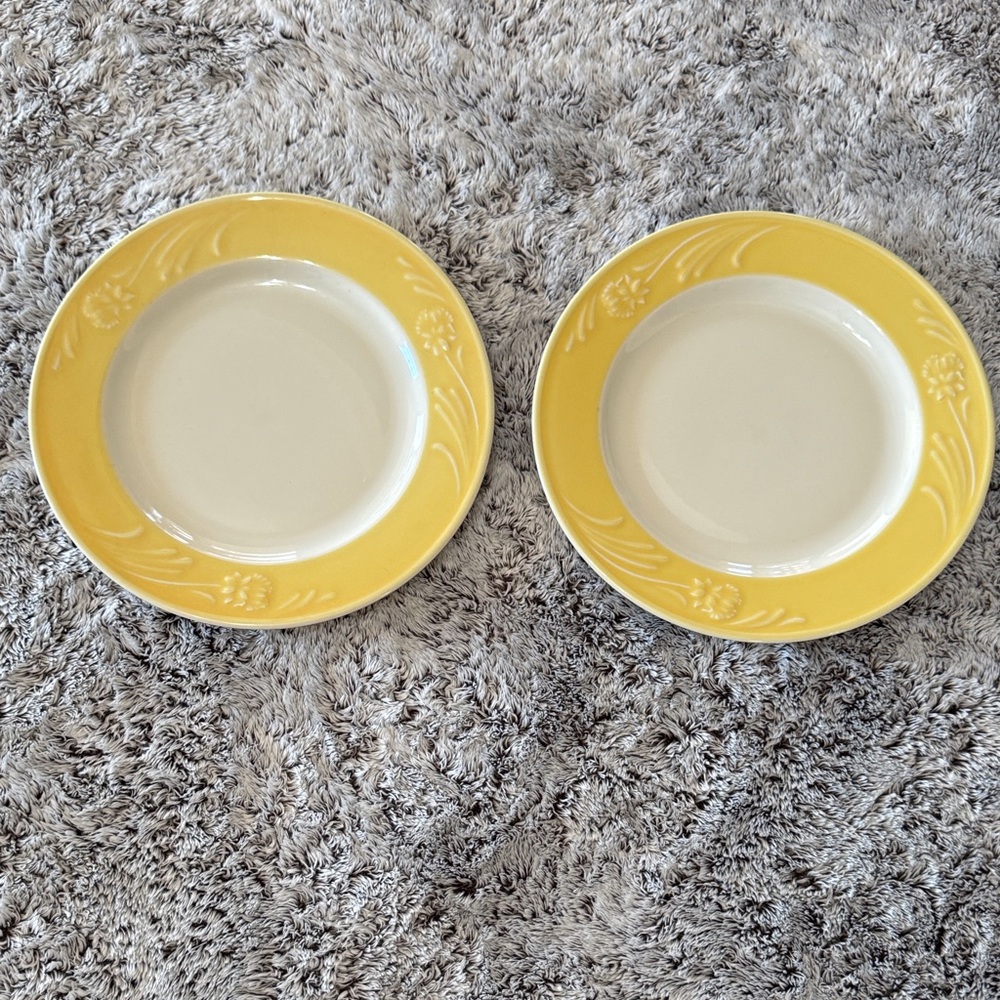Lenox Poppies Rainbow-Yellow Rim Set of 2 Dinner Plates Raised Floral Chinastone